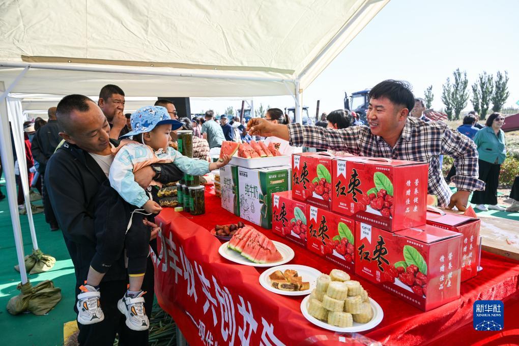 dafa黄金版网页